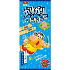 くもんの夏休みガリガリ君ドリル小学３年生　国語・算数
