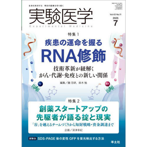 セブンネットショッピングで買える「実験医学 Vol.43No.11(2025?7) 特集1RNA修飾と疾患/特集2創薬スタートアップの掟と現実」の画像です。価格は2,530円になります。