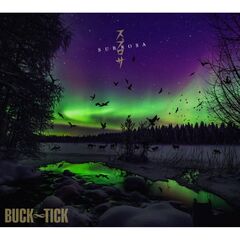 buck-tickblu-ray - 通販｜セブンネットショッピング