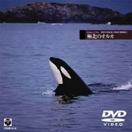 極北のオルカ Echoes of Sea 海洋写真家 水口博也の映像紀行（ＤＶＤ）