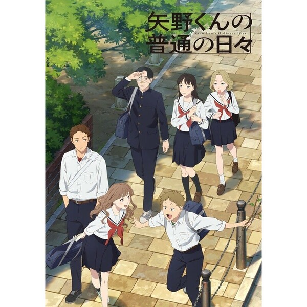 矢野くんの普通の日々 2（Blu－ray Disc） 通販