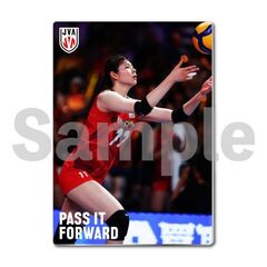 【バレーボール女子日本代表】メタルディスプレイ  韓国戦 02