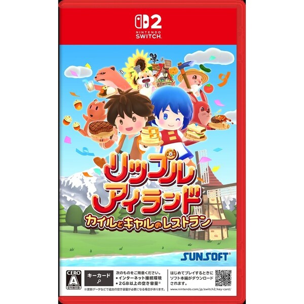 ֥ͥåȥåԥ󥰤㤨Nintendo Switch 2 åץ륢ɡȥΥ쥹ȥפβǤʤ4,378ߤˤʤޤ
