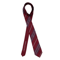 土佐兄弟コラボネクタイ＜就活応援＞シルクブレンドチェックネクタイ/ワイン/「カチトレナイテイ」