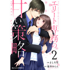 エリート専務の甘い策略2巻