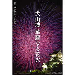 犬山城 華麗なる花火