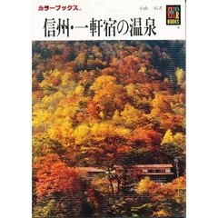 信州・一軒宿の温泉