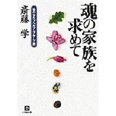 魂の家族を求めて　私のセルフヘルプ・グループ論