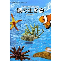 沖縄のサンゴ礁を楽しむ　磯の生き物