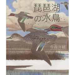 琵琶湖の水鳥