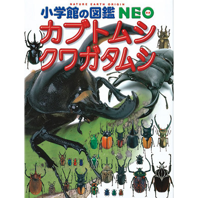 カブトムシ・クワガタムシ 通販｜セブンネットショッピング