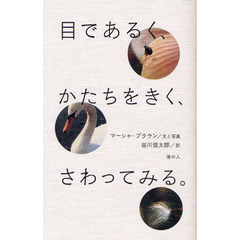 目であるく、かたちをきく、さわってみる。