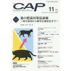 ＣＡＰ　３０５