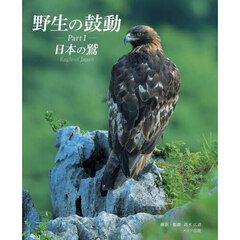野生の鼓動　Ｐａｒｔ１　日本の鷲