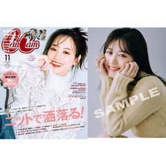 &amp;TEAM CanCam セブンネット限定特典 トレカ ９枚コンプ Amazon.co.jp: AKB48 セブンイレブン限定 トレーディングカード