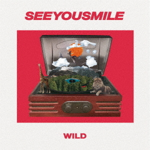 ֥ͥåȥåԥ󥰤㤨WILDפβǤʤ1,100ߤˤʤޤ