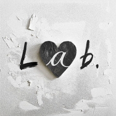 go!go!vanillas／Lab.（初回限定盤／CD＋Blu-ray “Lab. STUDIO LIVE”）（特典無し）