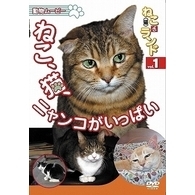 ねこ(猫) ざ ランド 1 ねこ､猫､ニャンコがいっぱい（ＤＶＤ）