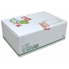 踊る大捜査線　THE　MOVIE　3　カエル急便おまとめパック（Ｂｌｕ－ｒａｙ　Ｄｉｓｃ）