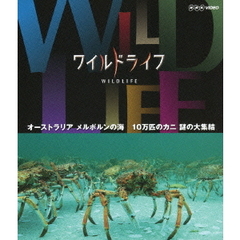 ワイルドライフ オーストラリア メルボルンの海 10万匹のカニ 謎の大集結（Ｂｌｕ－ｒａｙ）