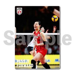 【バレーボール女子日本代表】メタルディスプレイ  韓国戦 03