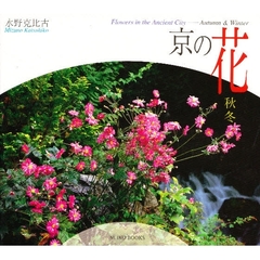 京の花　秋冬
