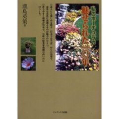 私のポーチュラカ・魅せられた１０年