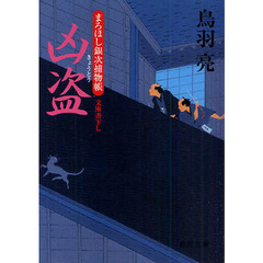 凶盗