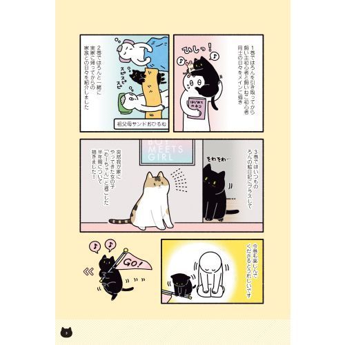 黒猫ろんと暮らしたら　３（単行本）