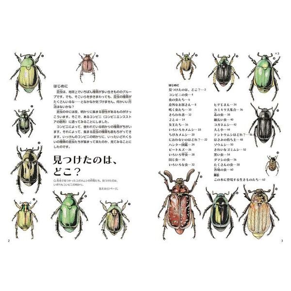コンビニ好きな虫のふしぎ ゲッチョ先生の夜の虫コレクション