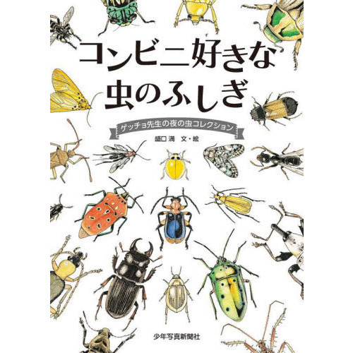 コンビニ好きな虫のふしぎ ゲッチョ先生の夜の虫コレクション