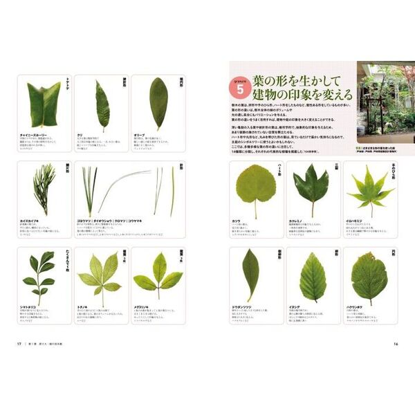 最高の植栽をデザインする方法　改訂版