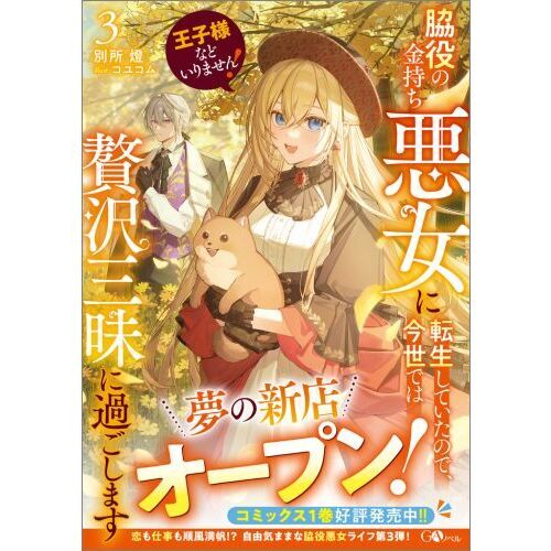 王子様などいりません！脇役の金持ち悪女に転生していたので、今世では