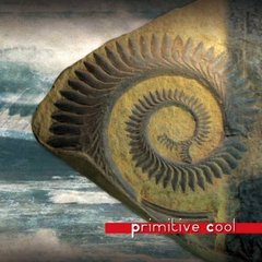Primitive　Cool