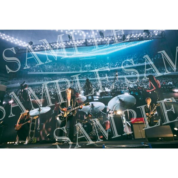 a flood of circle CD32枚セット a flood of circle／革命未遂の蝶が見る夢（CD）（早期予約特典