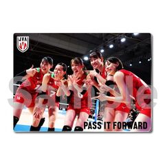【バレーボール女子日本代表】メタルディスプレイ  韓国戦 04