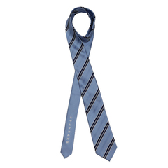 土佐兄弟コラボネクタイ＜就活応援＞シルクブレンドストライプネクタイ/サックス/「ジブンノコトバデ」
