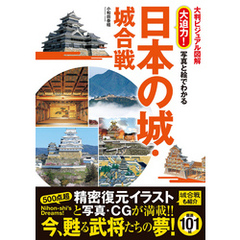 大判ビジュアル図解 大迫力！ 写真と絵でわかる 日本の城・城合戦