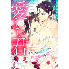 愛しい君～イジワル御曹司は派遣秘書を貪りたい～