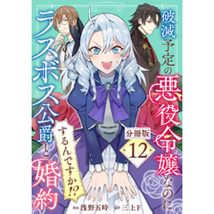 破滅予定の悪役令嬢なのにラスボス公爵と婚約するんですか！？【分冊版】12