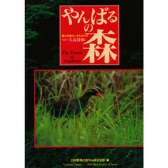やんばるの森　輝く沖縄のいきものたち