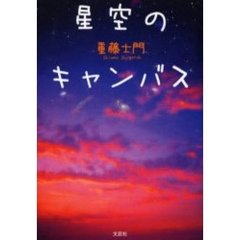 星空のキャンバス