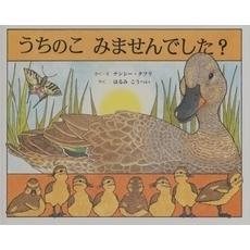 うちのこみませんでした？
