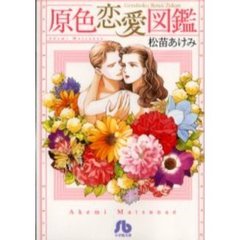 原色恋愛図鑑