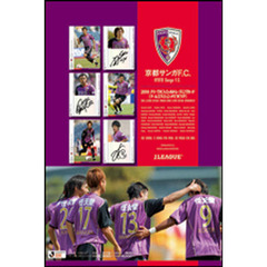 ’１０　Ｊリーグカード　京都サンガＦ．Ｃ