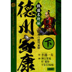 戦国名将伝　徳川家康　下