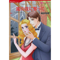 嵐の夜に奪って