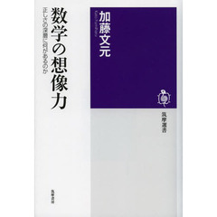 数学の想像力　正しさの深層に何があるのか