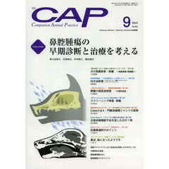 ＣＡＰ　２９１