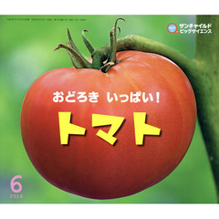 サンチャイルド・ビッグサイエンス　２０１４－６　おどろきいっぱい！トマト
